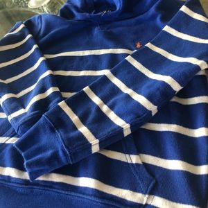 Polo Ralph Lauren Kids Hoodie